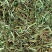 荆芥【包邮】三斤起发货可批量可零售量大从优