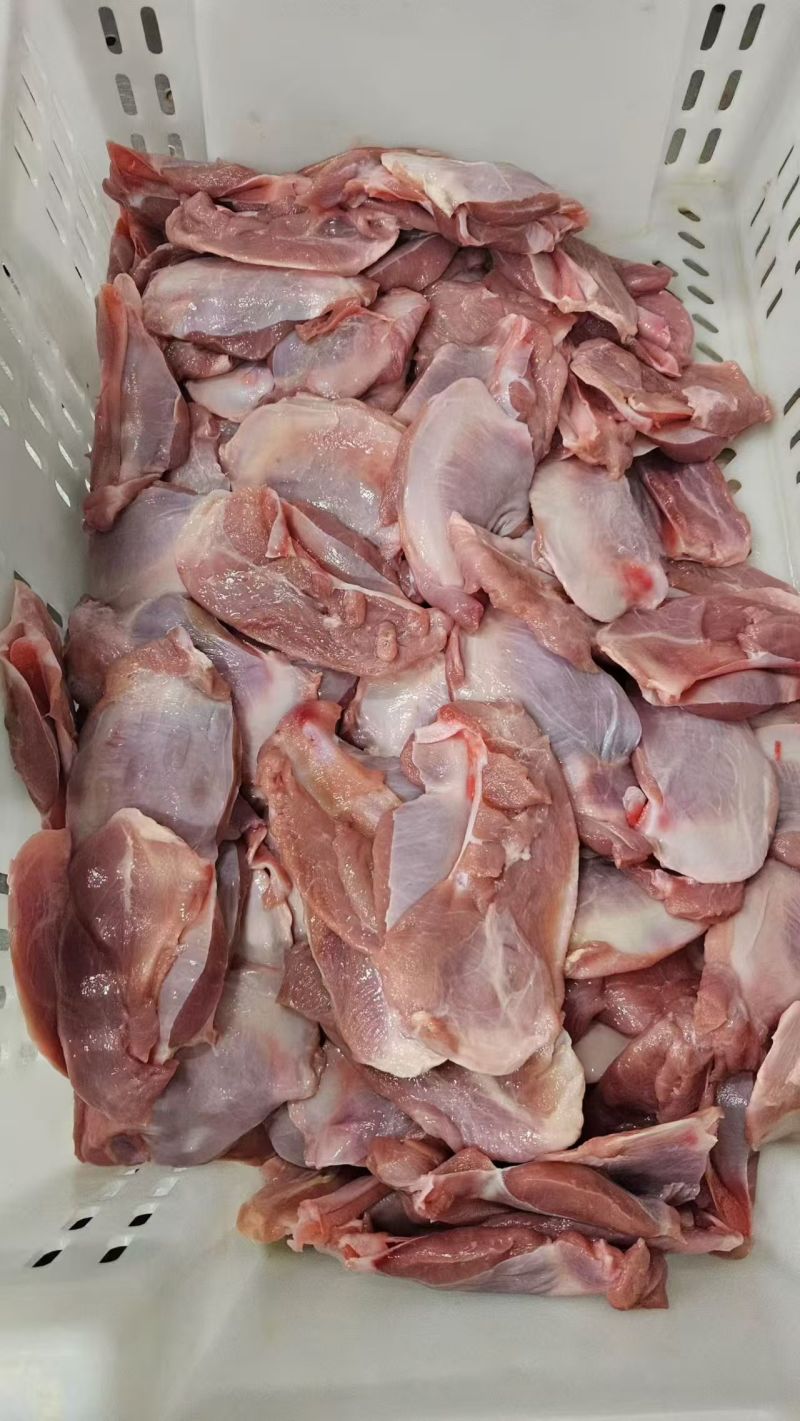 乳牛月牙骨36000吨
