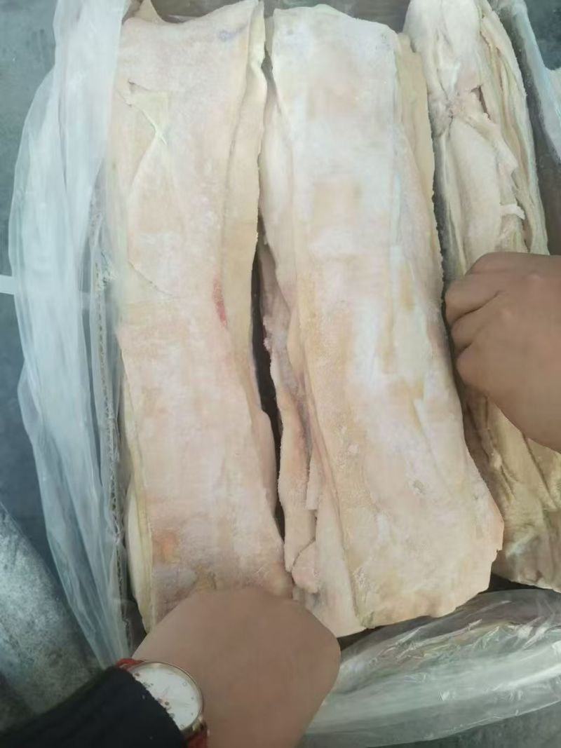 小猪猪脊皮3800吨
