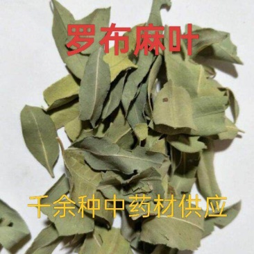 罗布麻叶，罗布麻茶中药材罗布麻叶质量保证价格优惠