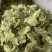 罗布麻叶，罗布麻茶中药材罗布麻叶质量保证价格优惠
