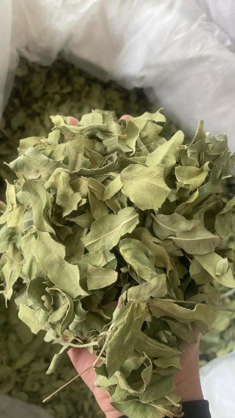 罗布麻叶，罗布麻茶中药材罗布麻叶质量保证价格优惠