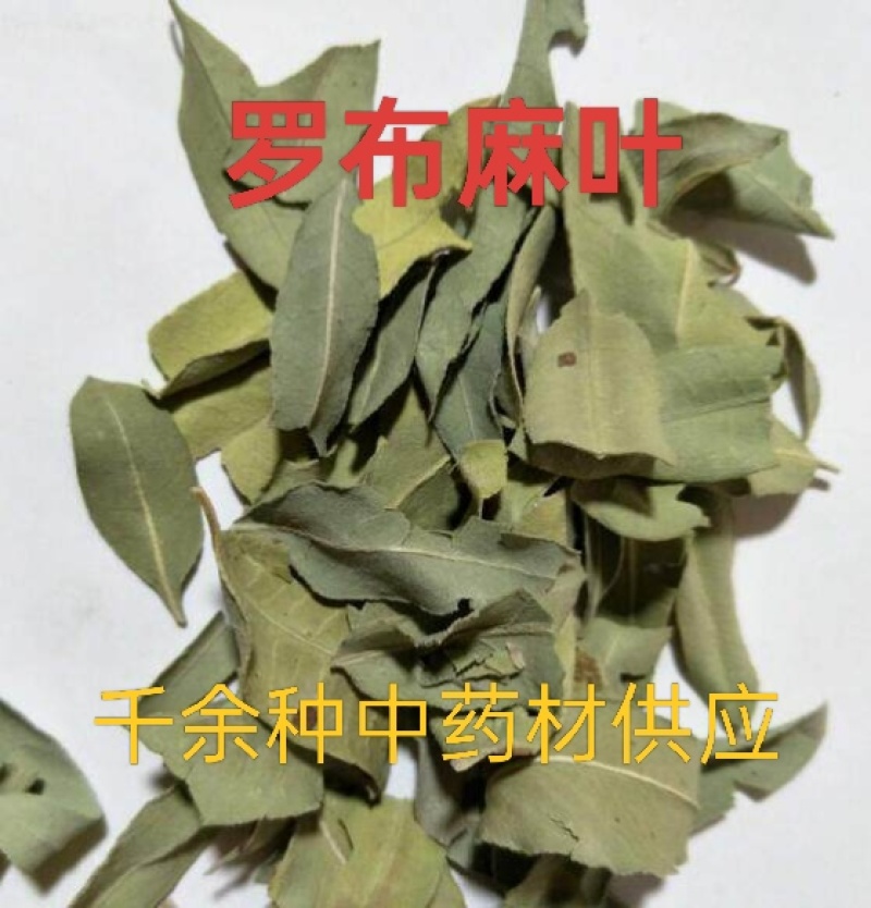 罗布麻叶，罗布麻茶中药材罗布麻叶质量保证价格优惠