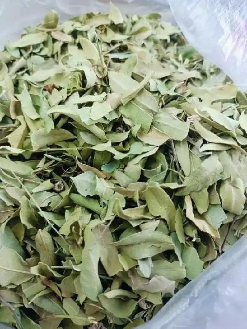 罗布麻叶，罗布麻茶中药材罗布麻叶质量保证价格优惠