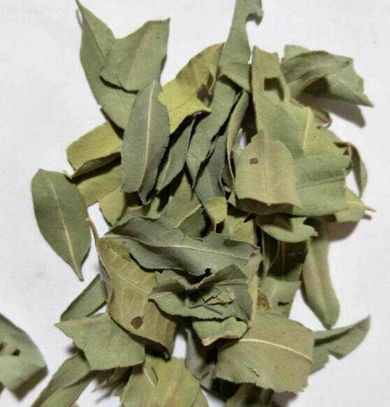 罗布麻叶，罗布麻茶中药材罗布麻叶质量保证价格优惠