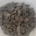 秦岭猪苓干货