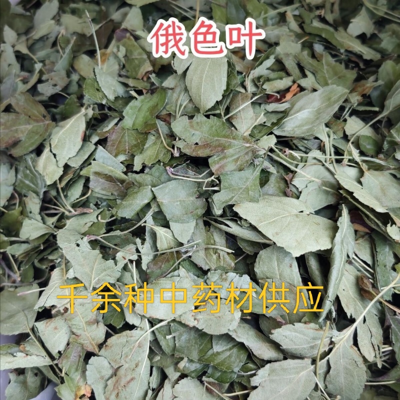 俄色叶，中药材俄色叶新货质量保证价格优惠欢迎咨询购买