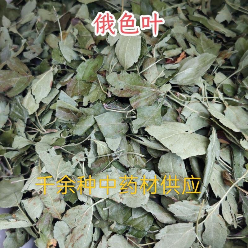 俄色叶，中药材俄色叶新货质量保证价格优惠欢迎咨询购买