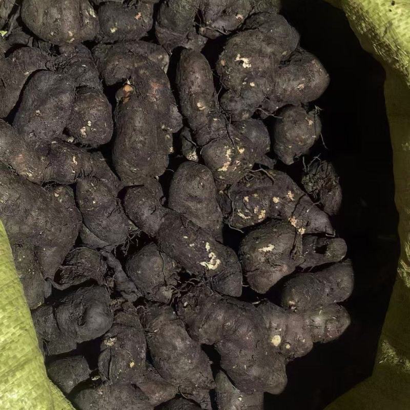 新鲜三叶青果产地直发品质保证支持视频看货欢迎来电