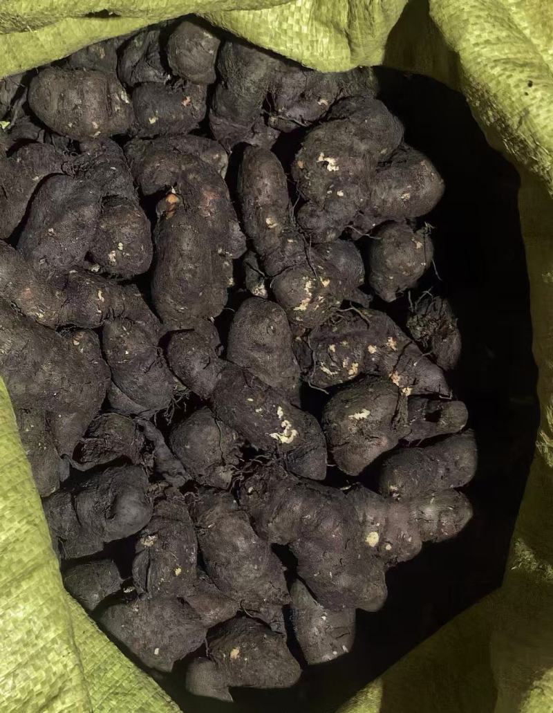 新鲜三叶青果产地直发品质保证支持视频看货欢迎来电