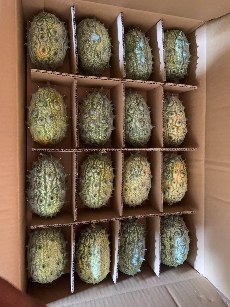 海南火参果刺角瓜量大优惠，常年有货，全国批发