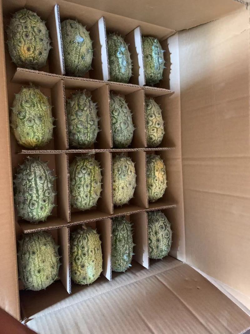 海南火参果刺角瓜量大优惠，常年有货，全国批发