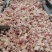 三黄鸡肉块