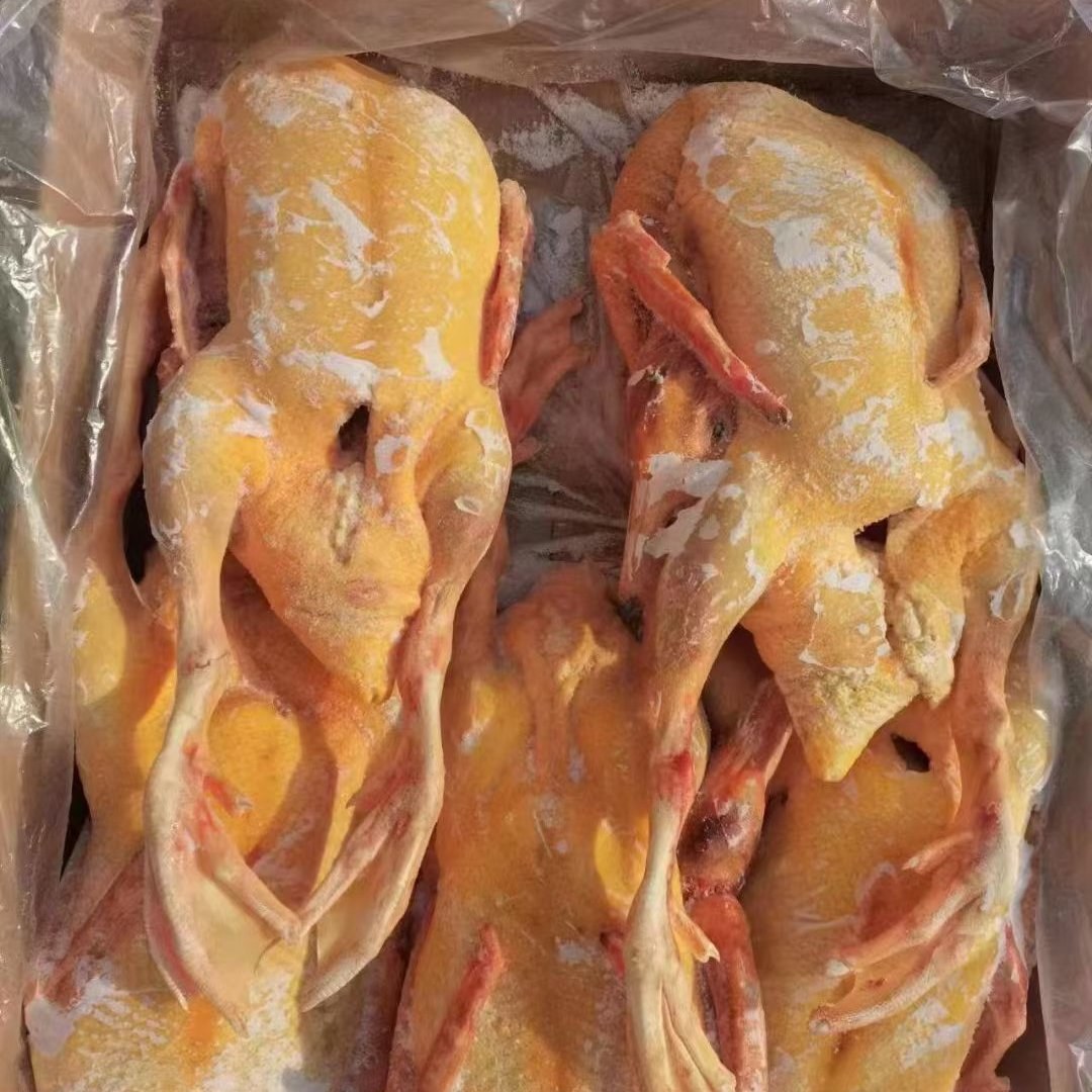 人工养殖番鸭肉全鸭黄皮黄油