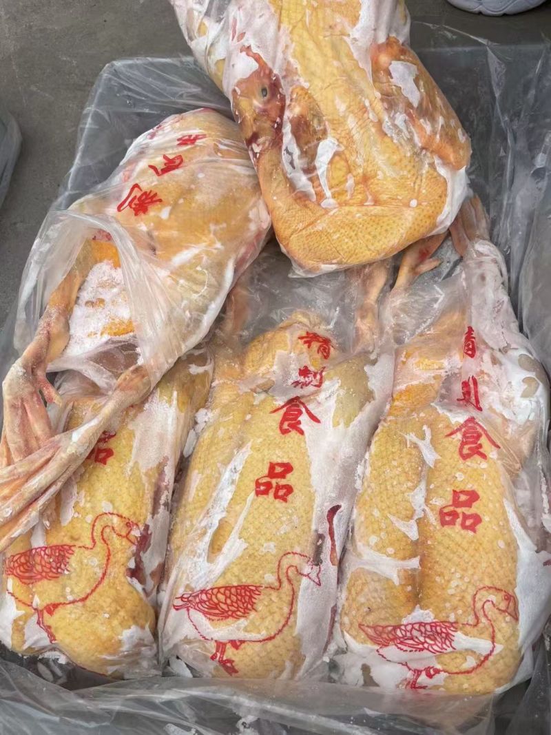 人工养殖番鸭肉全鸭黄皮黄油