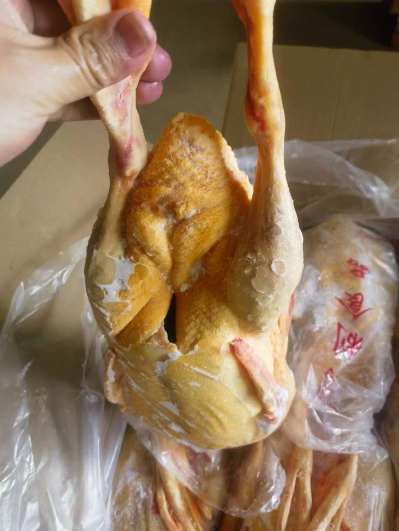 人工养殖番鸭肉全鸭黄皮黄油