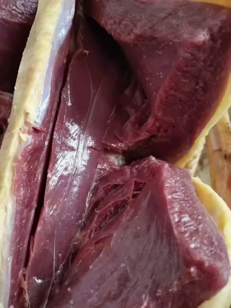 人工养殖番鸭肉全鸭黄皮黄油
