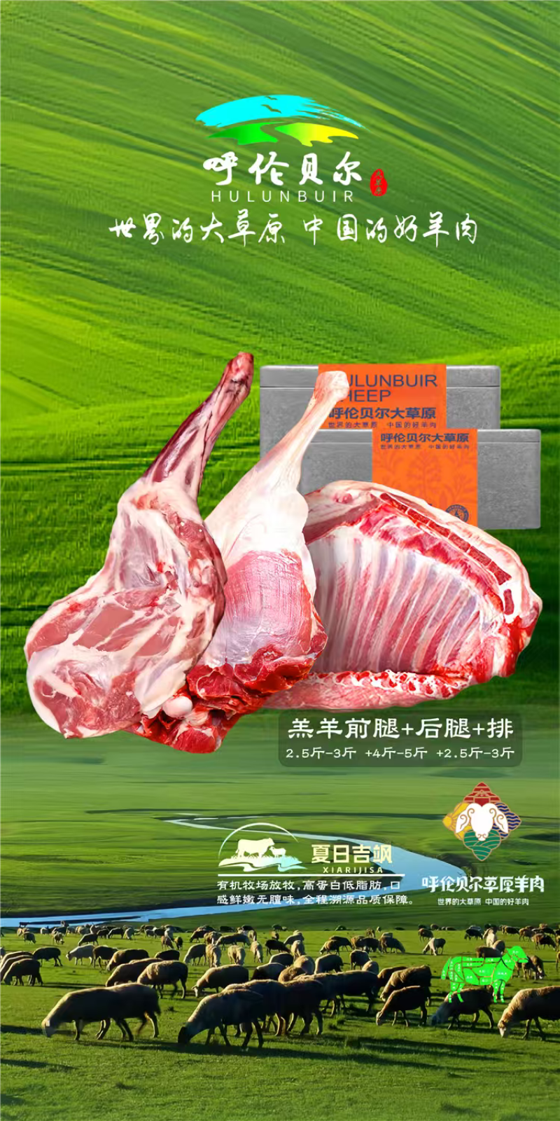 羊后腱4-6月羔羊呼伦贝尔全草溯源牛羊肉