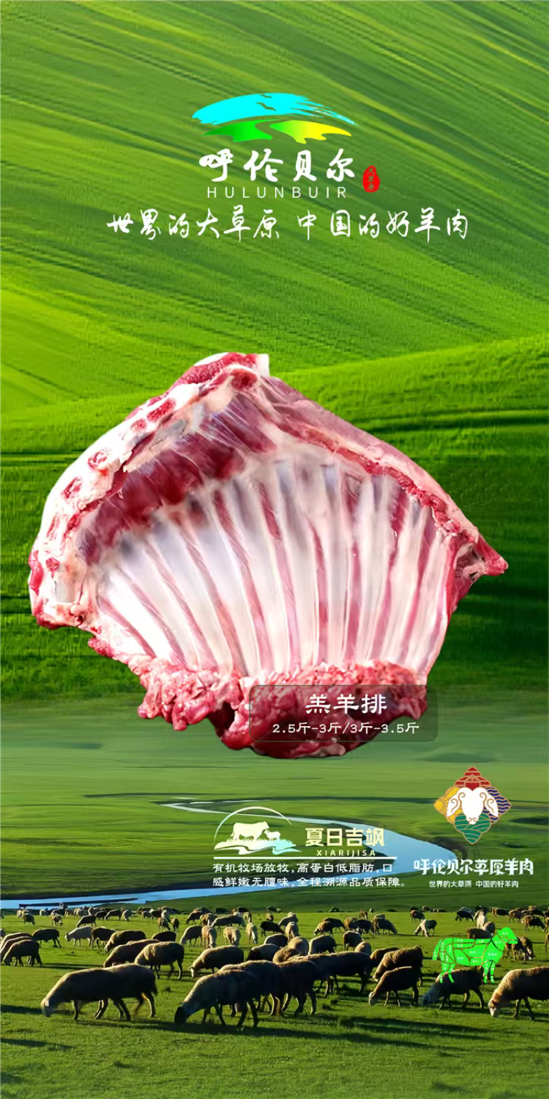 羊后腱4-6月羔羊呼伦贝尔全草溯源牛羊肉