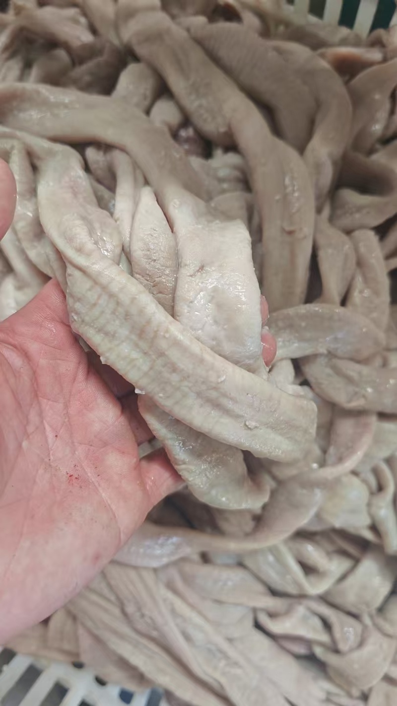 牛小肠新鲜供应焯水保质保量口感鲜美欢迎对接