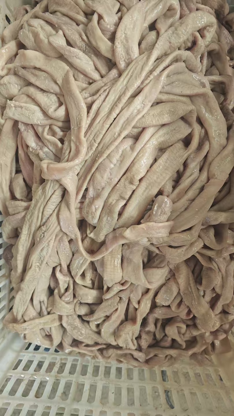 牛小肠新鲜供应焯水保质保量口感鲜美欢迎对接
