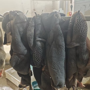 全熟黑牛肚