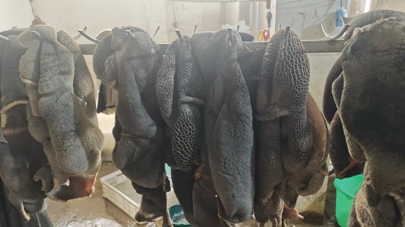 全熟黑牛肚