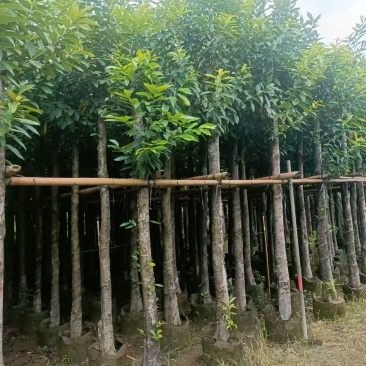 水翁5-15分大量出售