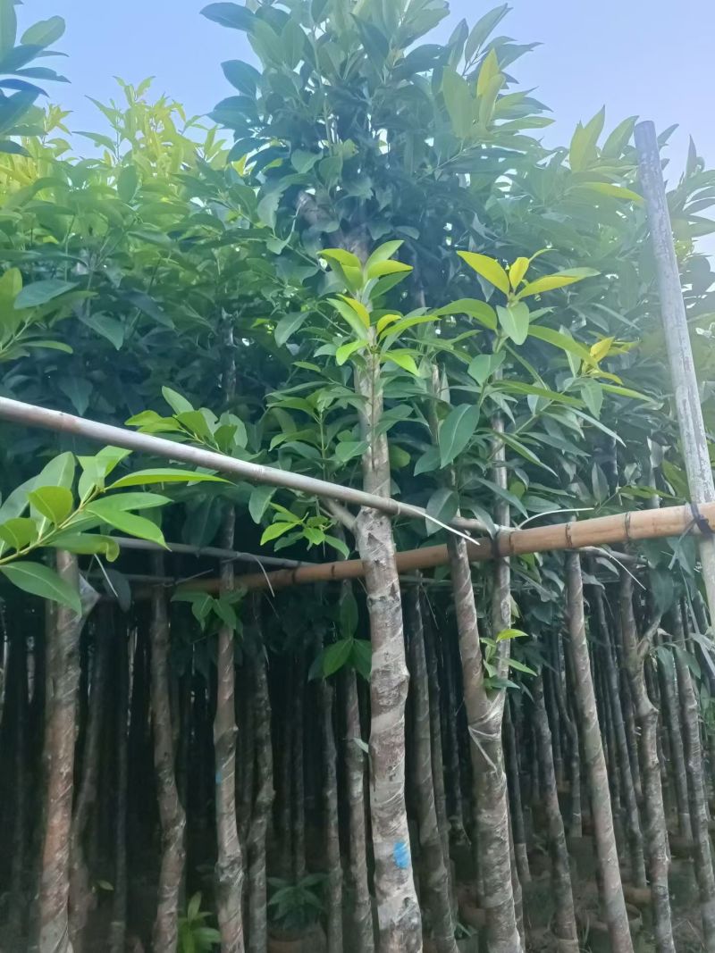 水翁5-15分大量出售