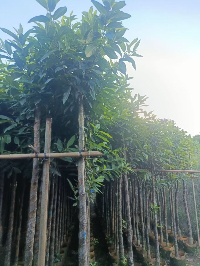 水翁5-15分大量出售