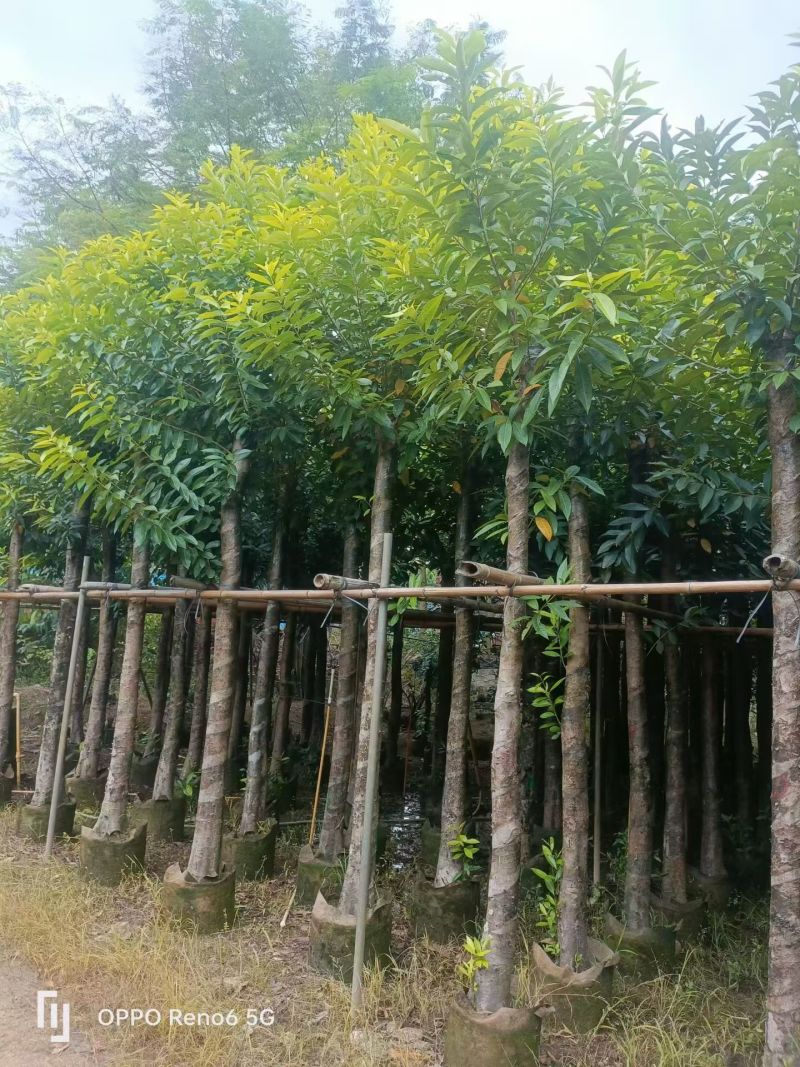水翁5-15分大量出售