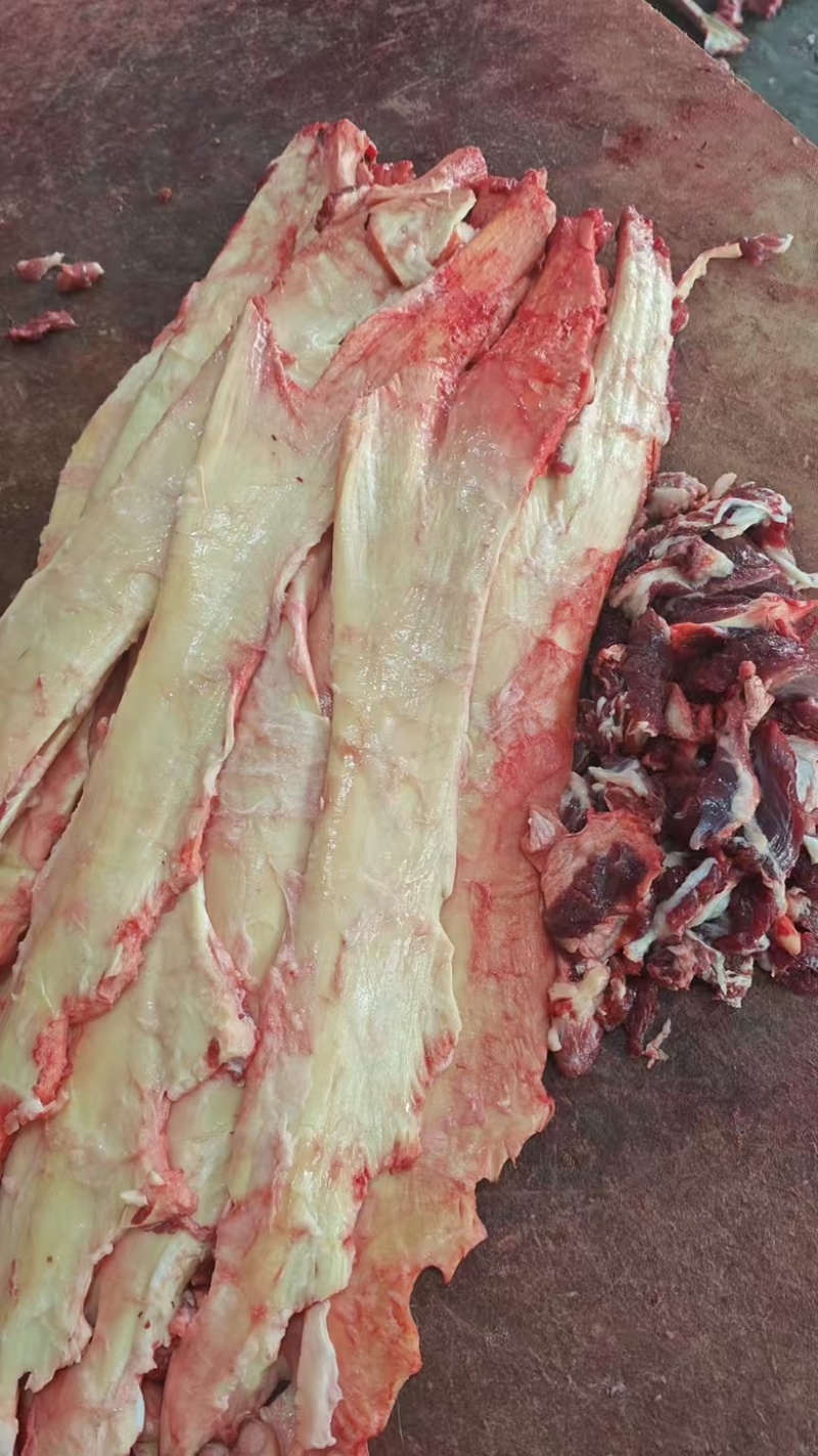 生牛板筋