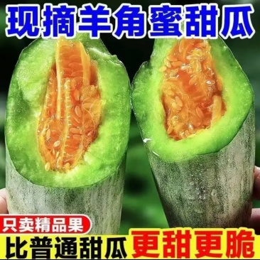 青州羊角蜜产地直供商超优选鲜果现摘量大从优一条龙服务支持一件