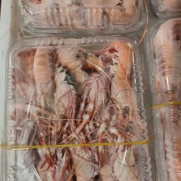 刺身鳌虾东海本地