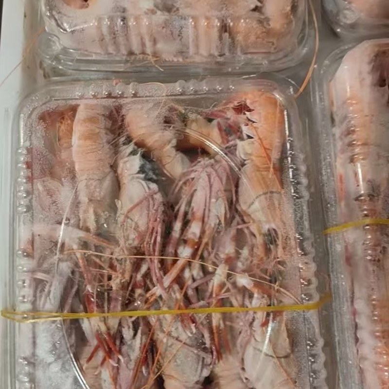 刺身鳌虾东海本地