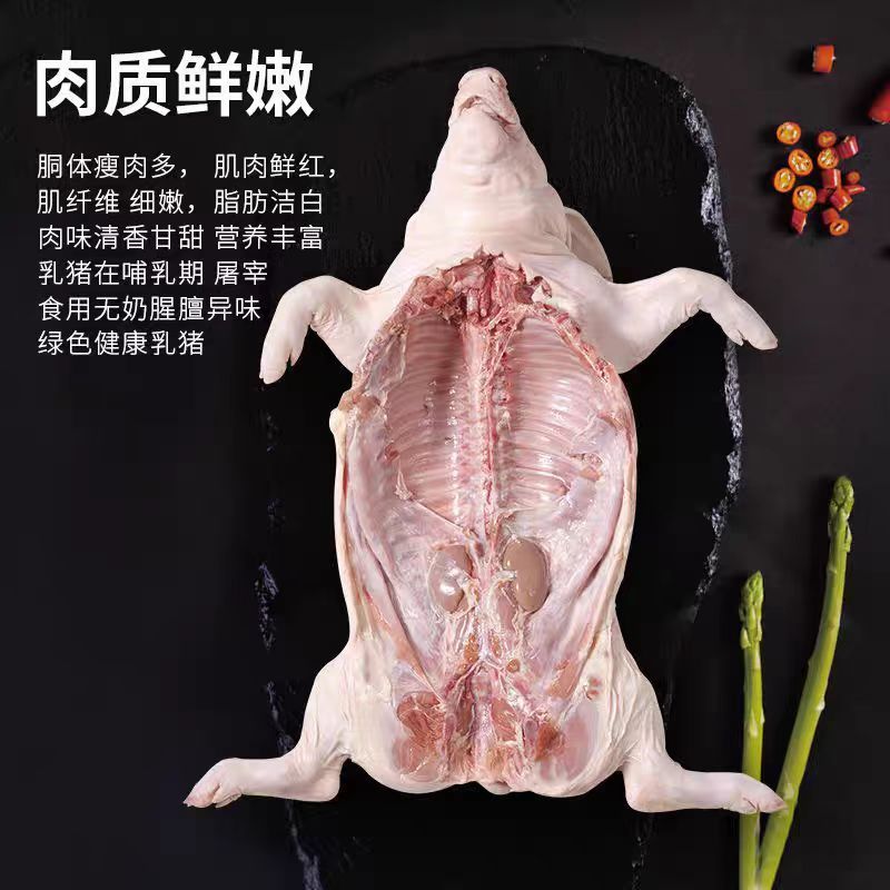 《畅销》鲜冻烤乳猪基地直发对接全国保质保量一条龙服务