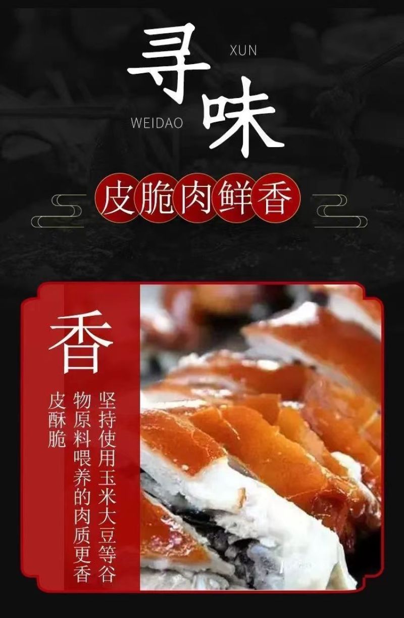 《畅销》鲜冻烤乳猪基地直发对接全国保质保量一条龙服务