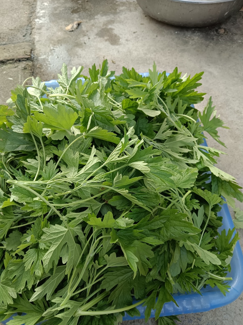 海南琼海特色小吃益母草姜米