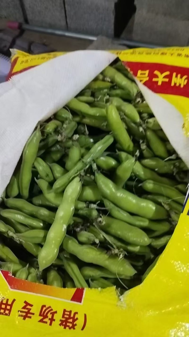 蚕豆大量上市中，产地直发，价格便宜，合作共赢。
