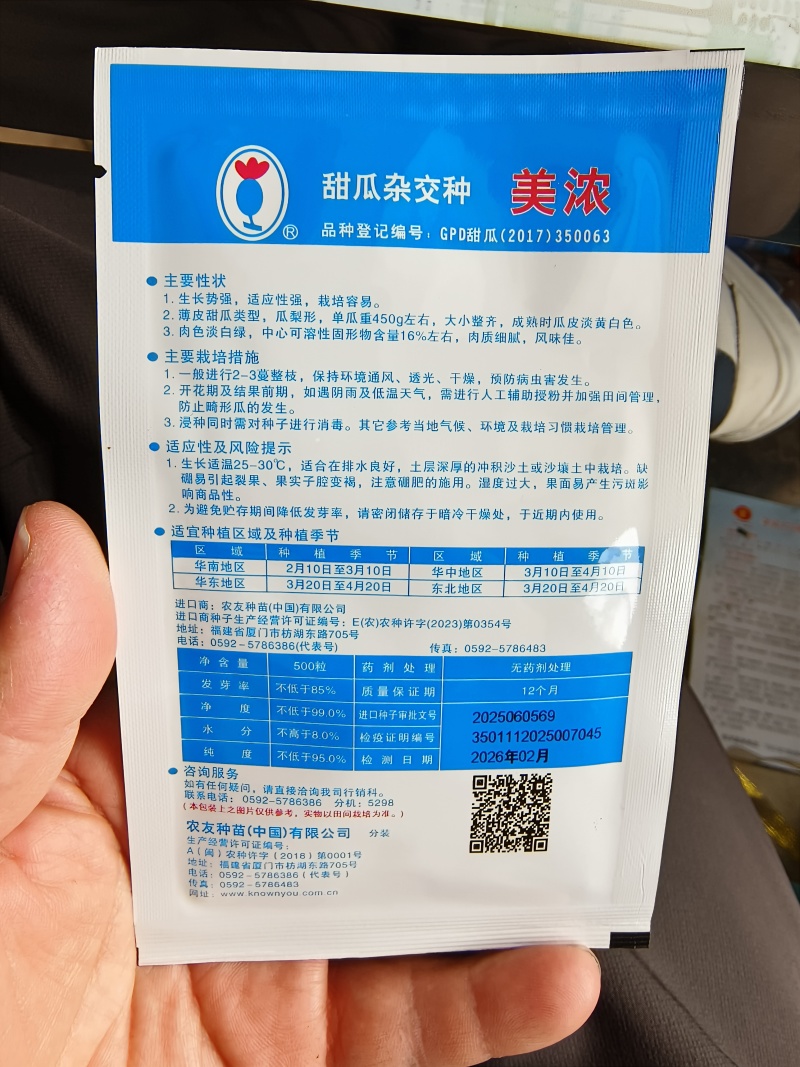 美浓甜瓜种子薄皮甜瓜种子大小整齐皮淡黄白色香味囗感好