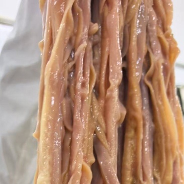 大鸭肠