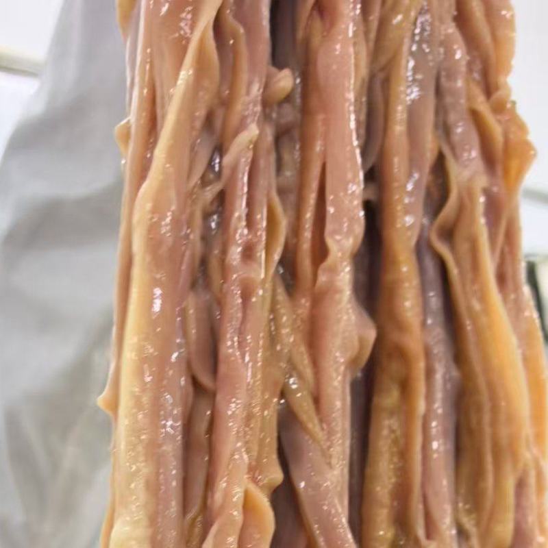 大鸭肠