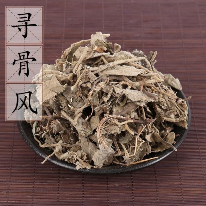 寻骨风精选优质寻骨风批发零售量大从优