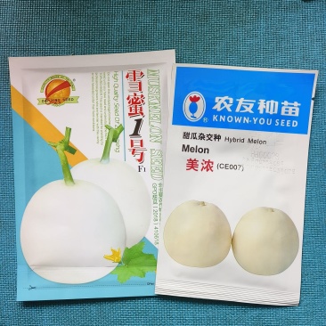 美浓甜瓜种子薄皮甜瓜种子大小整齐皮淡黄白色香味囗感好