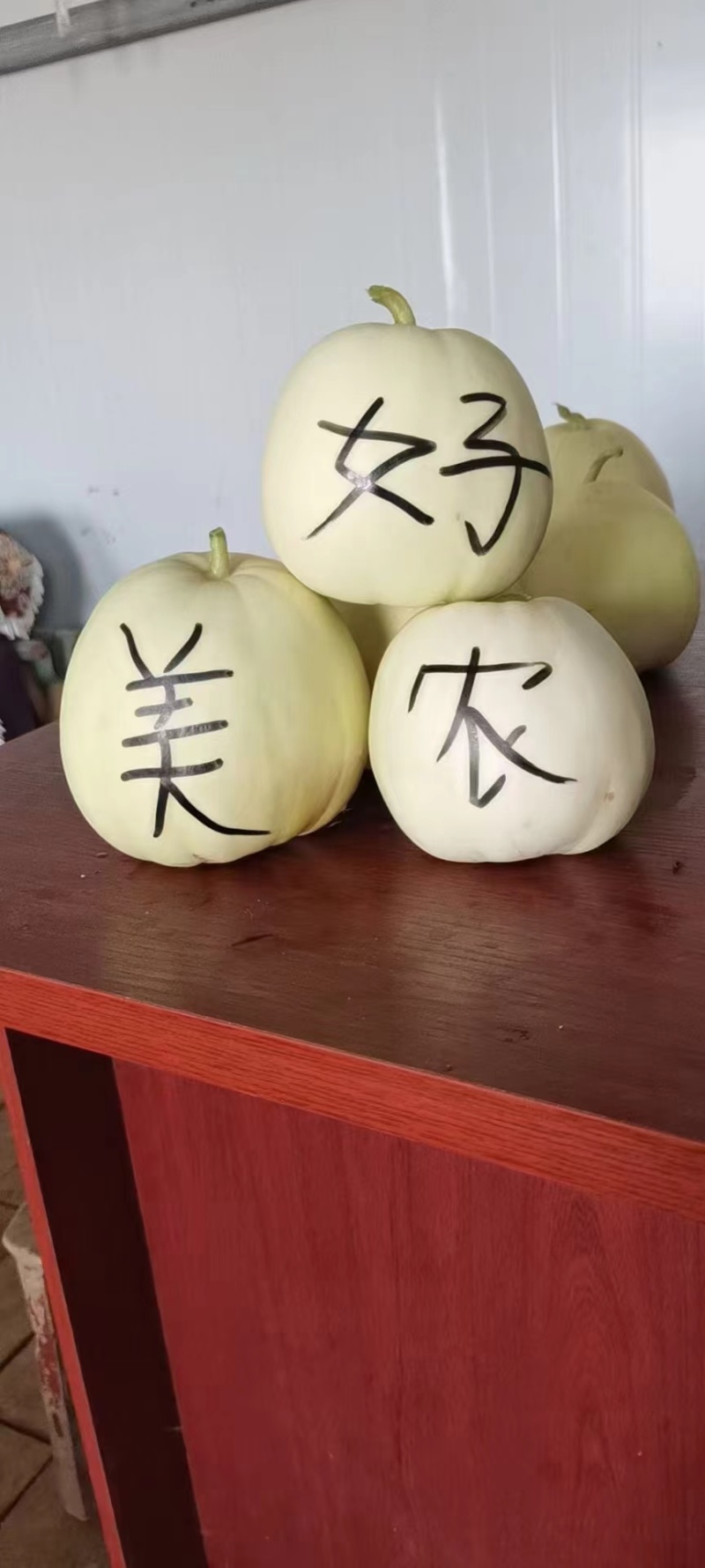 美浓甜瓜种子薄皮甜瓜种子大小整齐皮淡黄白色香味囗感好