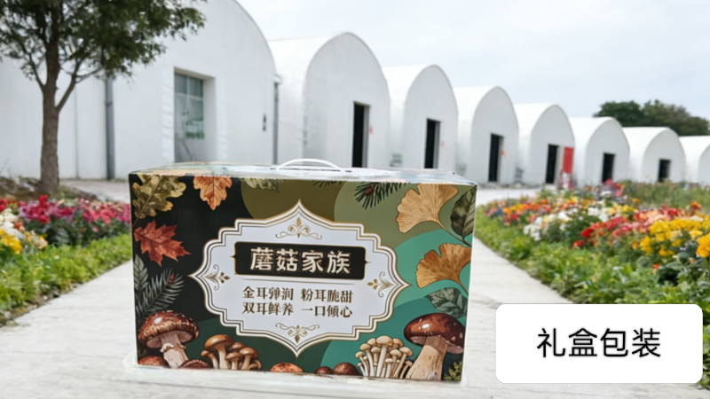 重庆九龙坡干粉木耳无根肉厚无硫餐饮批发产地直供