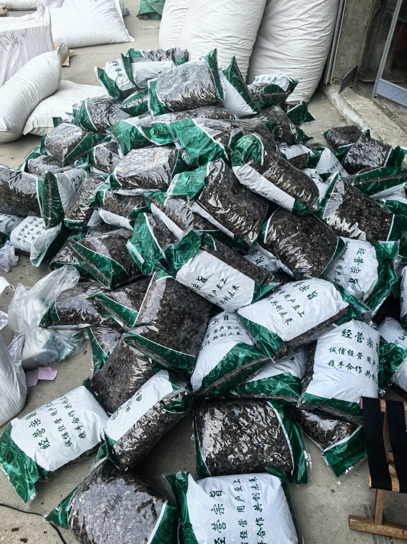 肿节风今年新货薄利多销量大从优物美价廉
