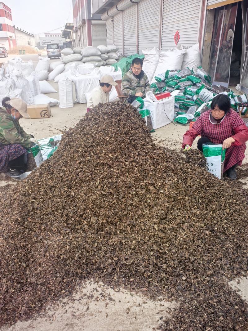 肿节风今年新货薄利多销量大从优物美价廉