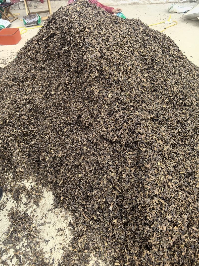 肿节风今年新货薄利多销量大从优物美价廉