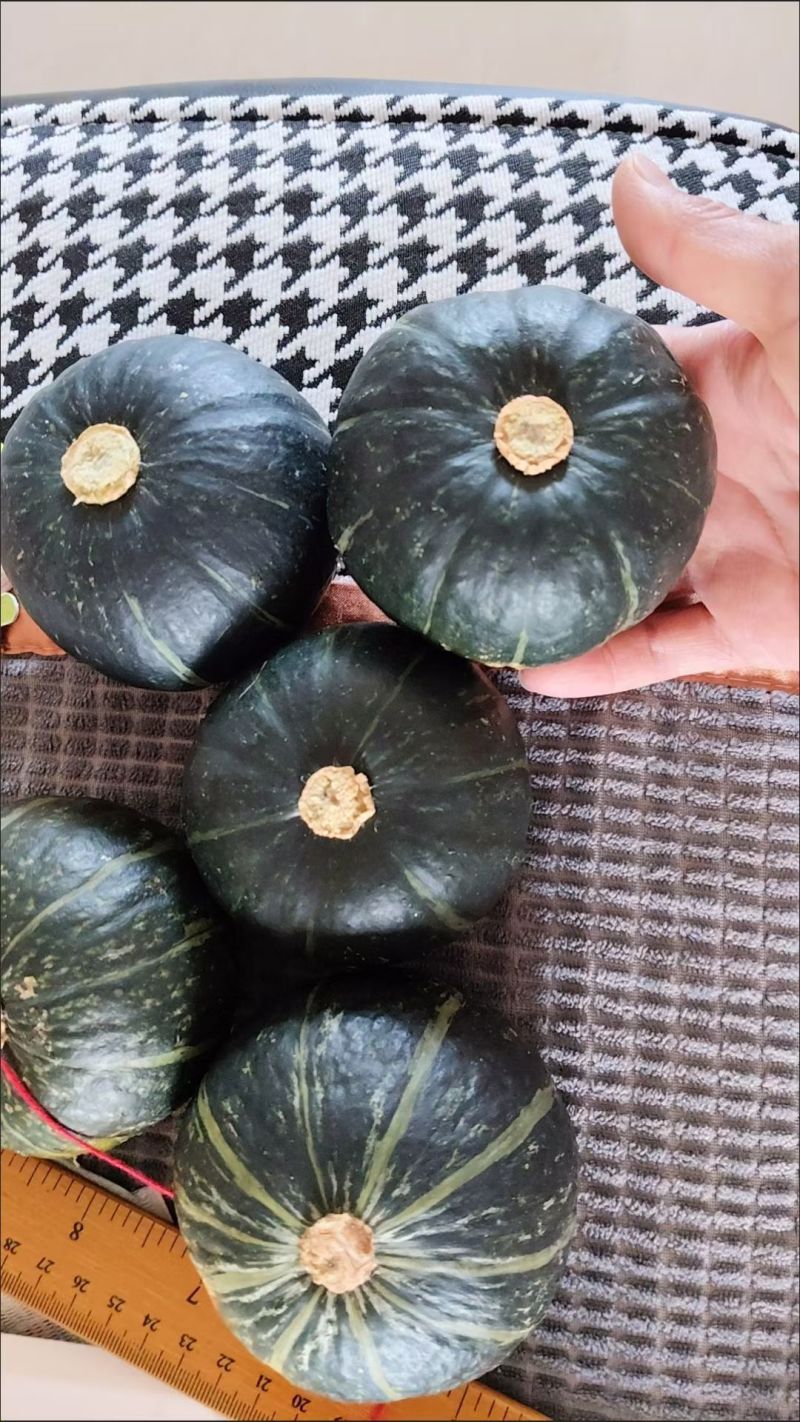 精品贝贝瓜，板栗，银利大量现货产地直发。